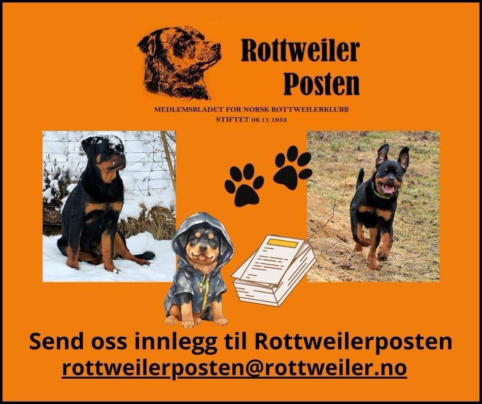 Norsk Rottweilerklubb