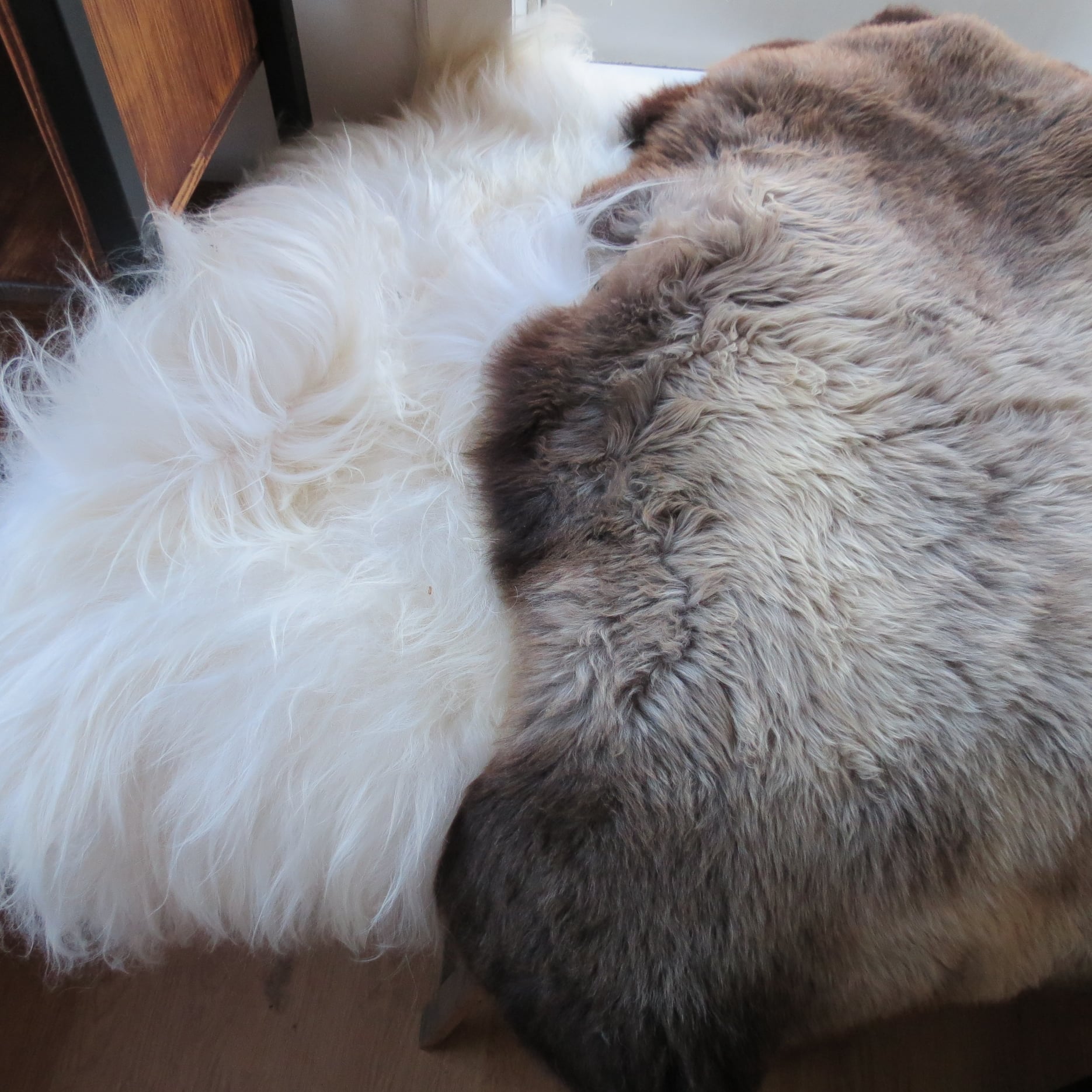 schaap-zacht-vachten-in-vele-kleuren-en-maten-www-schaap-zachf-nl