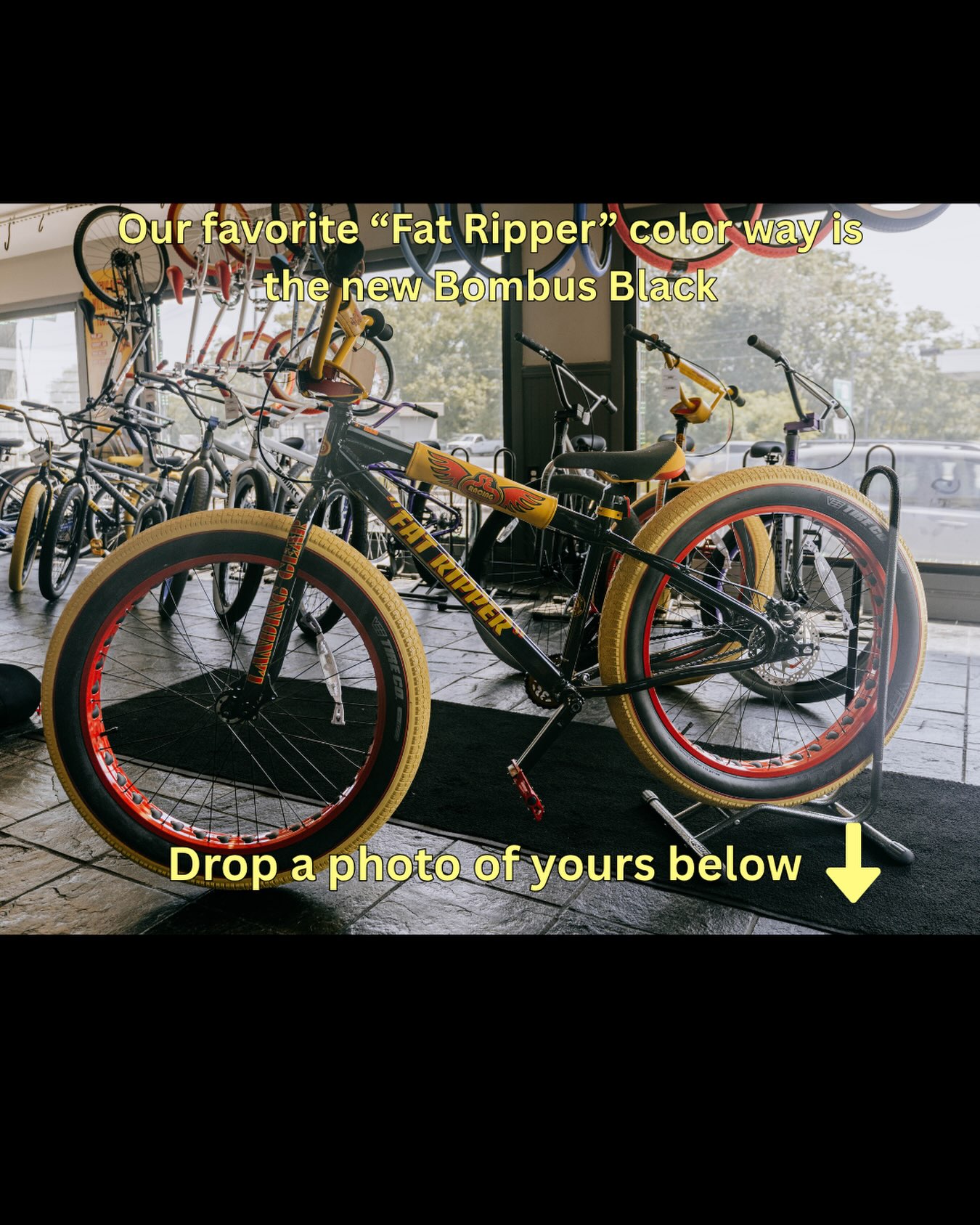 Burlington County Bikes | Burlington NJ