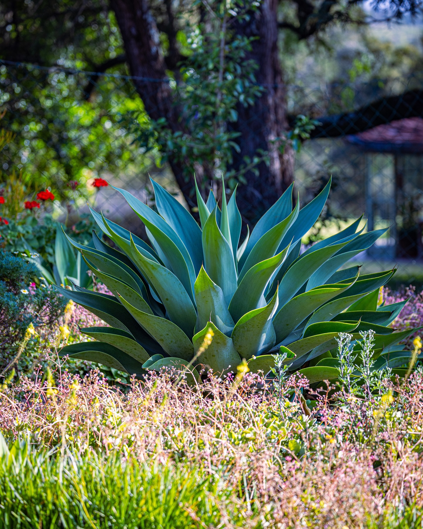 Mukima - Harnessing the equatorial sun keeps our Nature Sanctuary clean ...