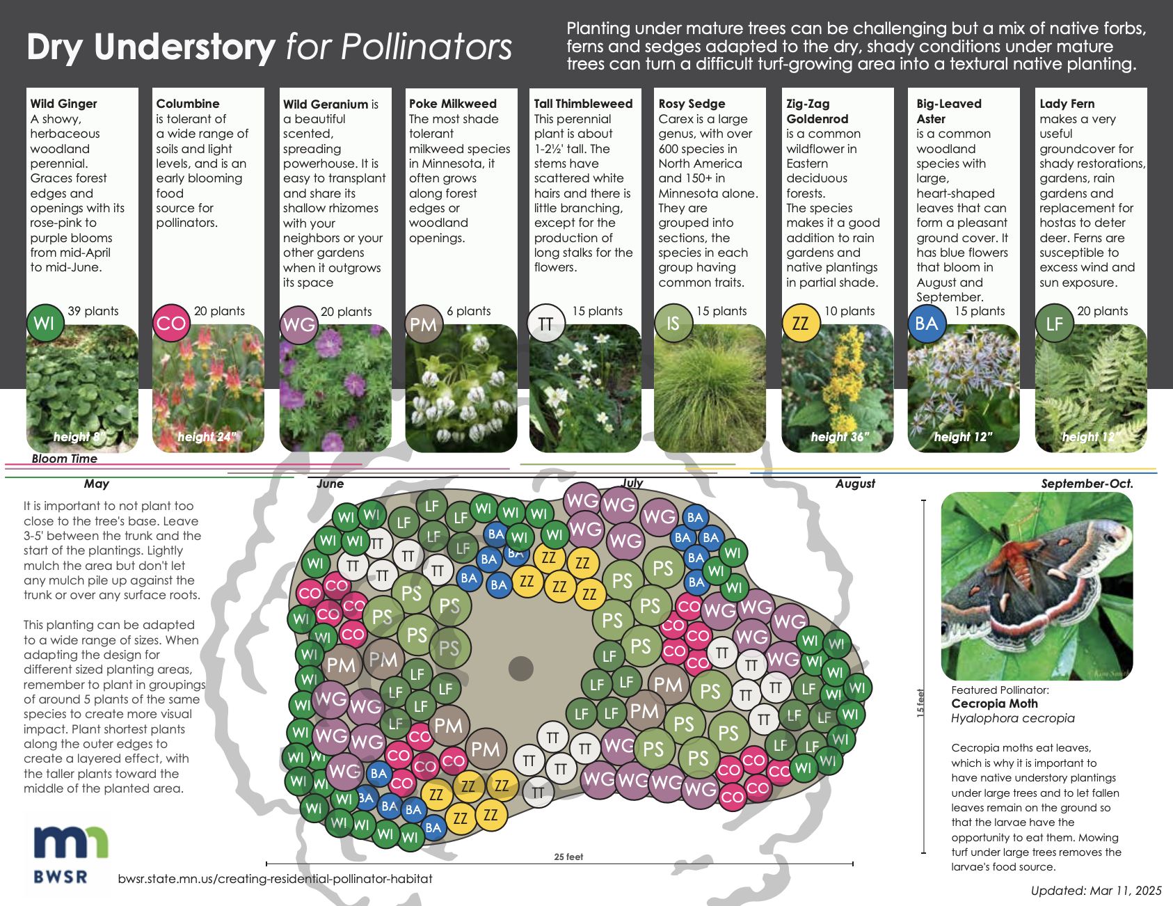 Metro - Our Metro Blooms Design+Build team helped create two new native ...