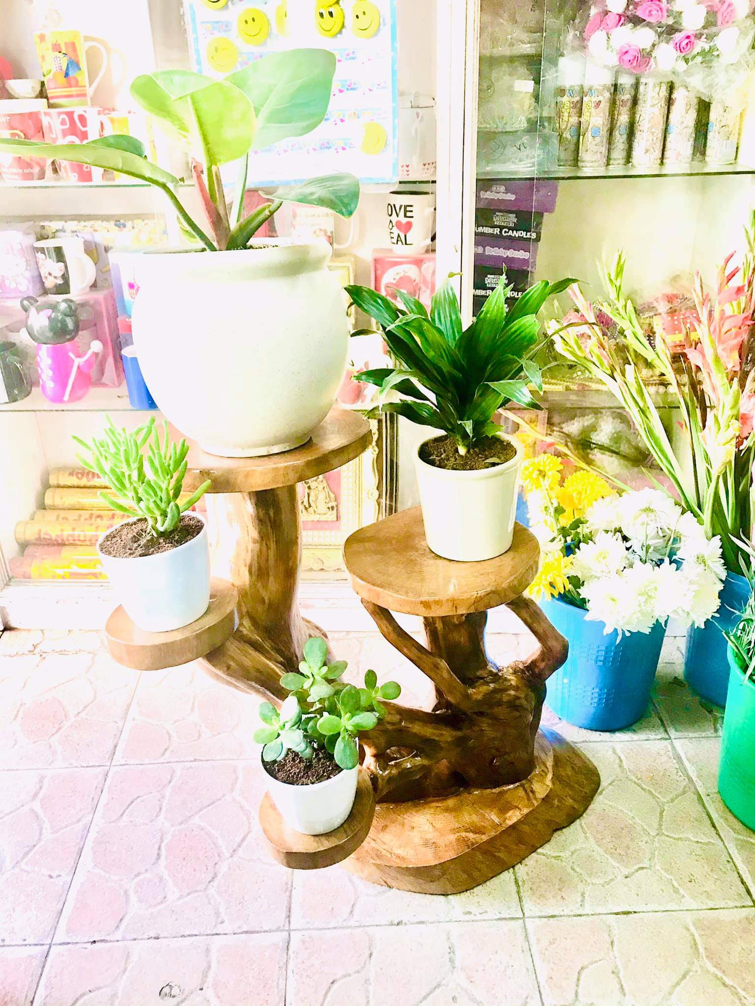 The Roots Redefined | Lalitpur
