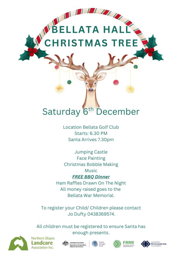 Northern - The Bellata Hall Christmas Tree is back! We’re proud to be ...