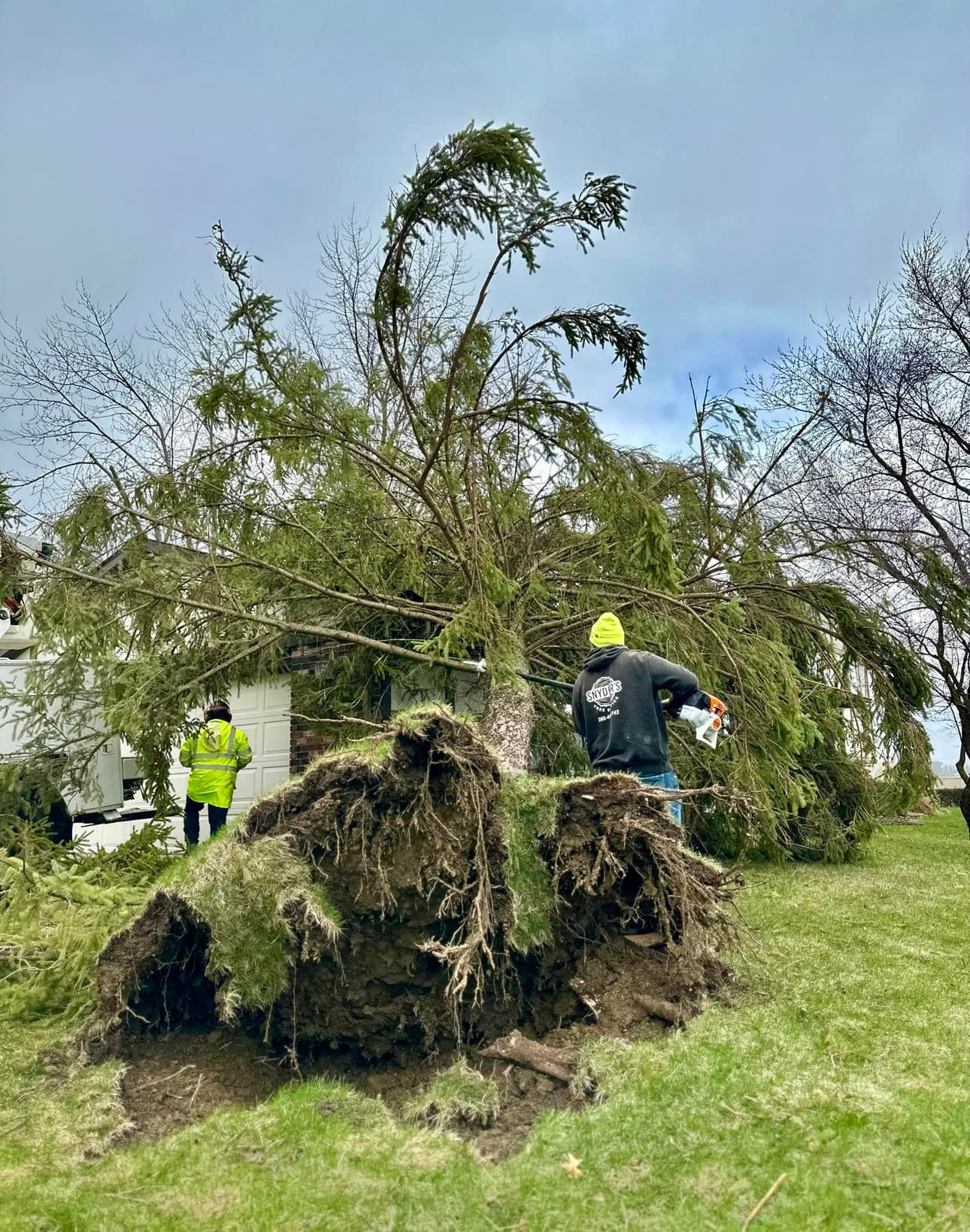 Snyder’s Tree Service LLC | Fort Wayne IN