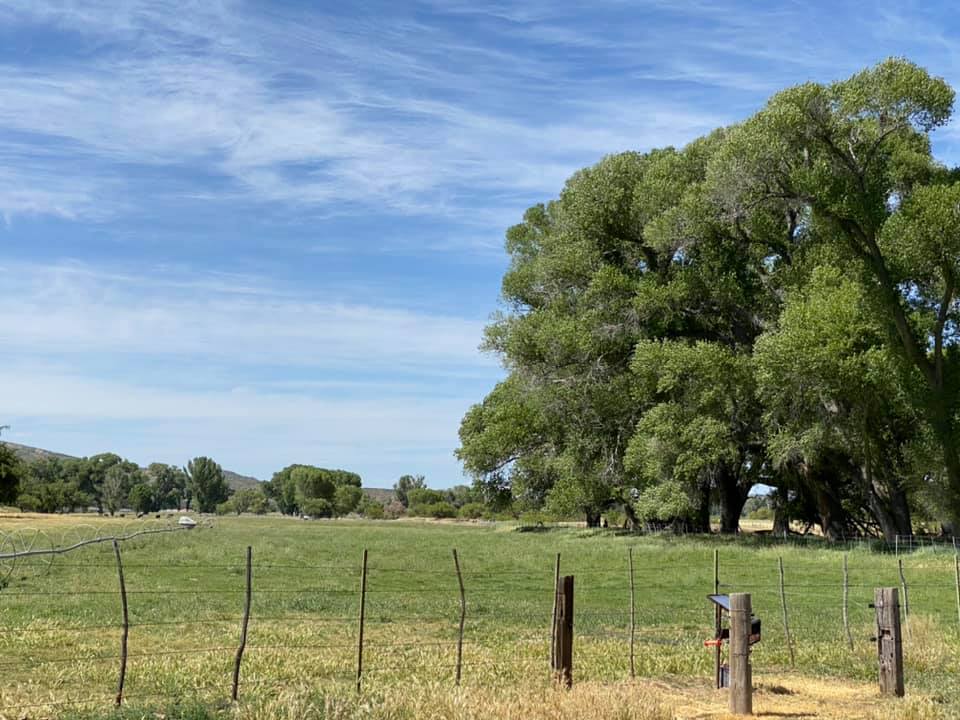 Four Cross Ranch