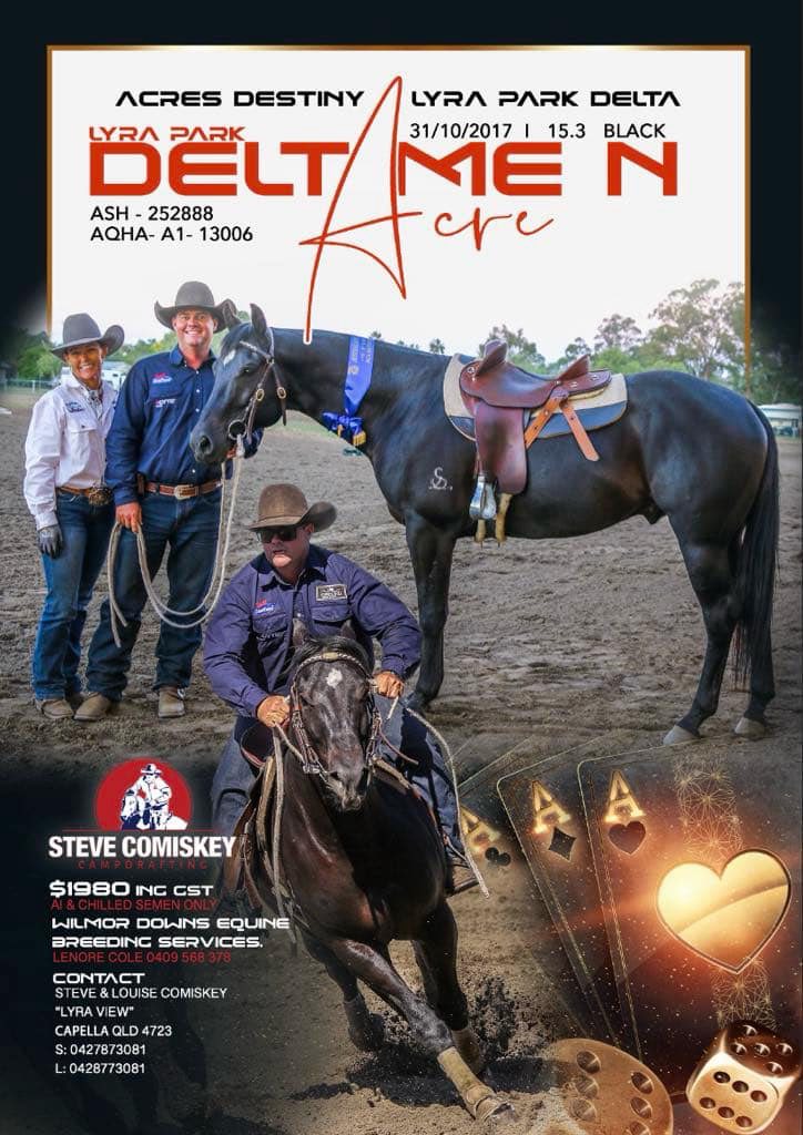 Alpha Rodeo Association | Alpha QLD