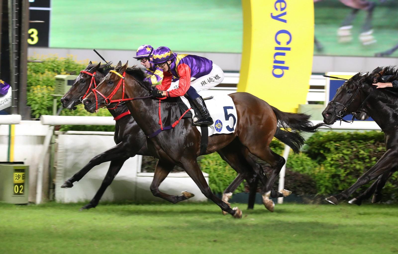 新報馬經 HKDN Racing - 【潘明輝與大師傅的分別】梁定華馬房 我曾經說過我不會鑽牛角尖去論馬，但當大眾都在賞識一眾見習騎師的同時 ...