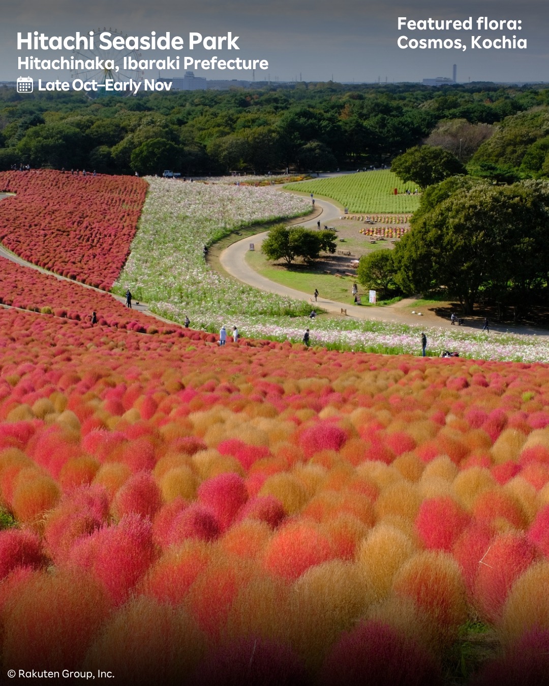 Capture the transition from summer to autumn as Japan's landscapes