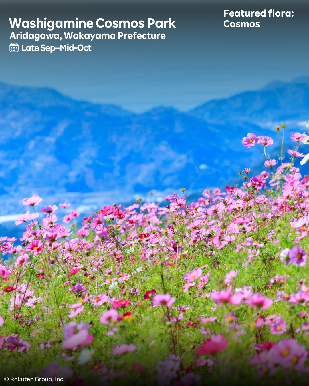 Capture the transition from summer to autumn as Japan's landscapes