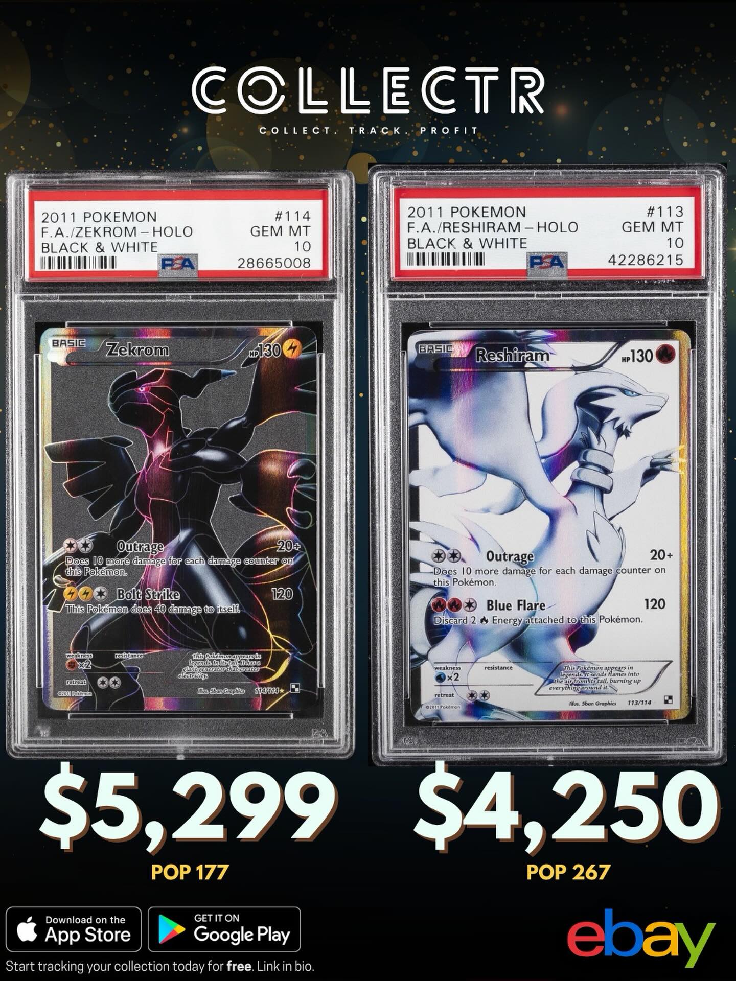 PSA 10 Japanese Pokémon card prices: Bubble Mew $1000, Reshiram