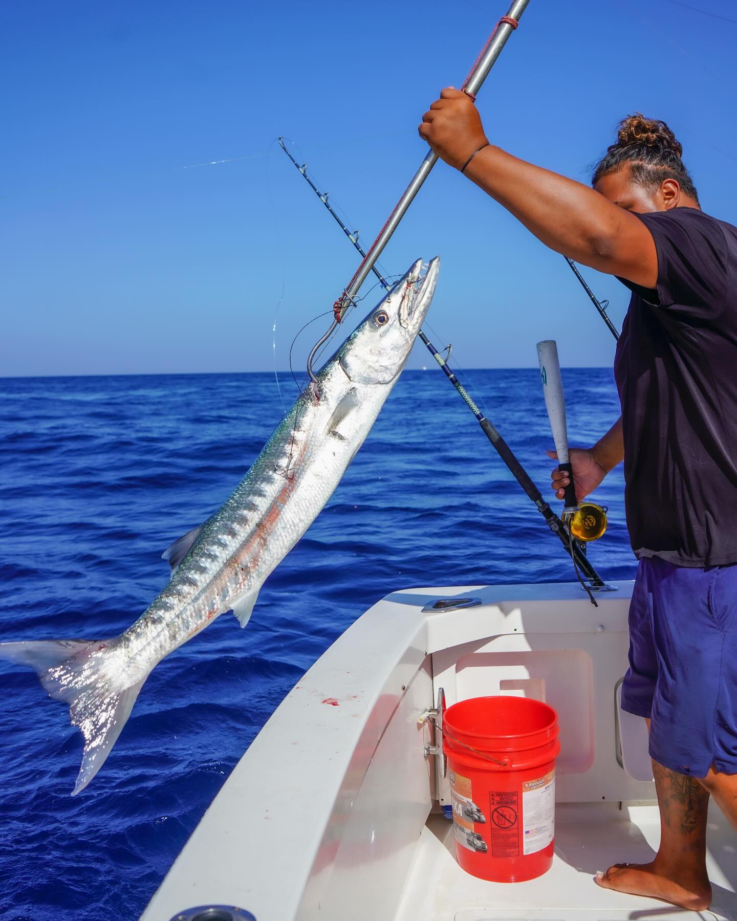 driftwood fishing pole NickStick Mini Rod wall mounted What fish is this?🎣🐠 ☀️