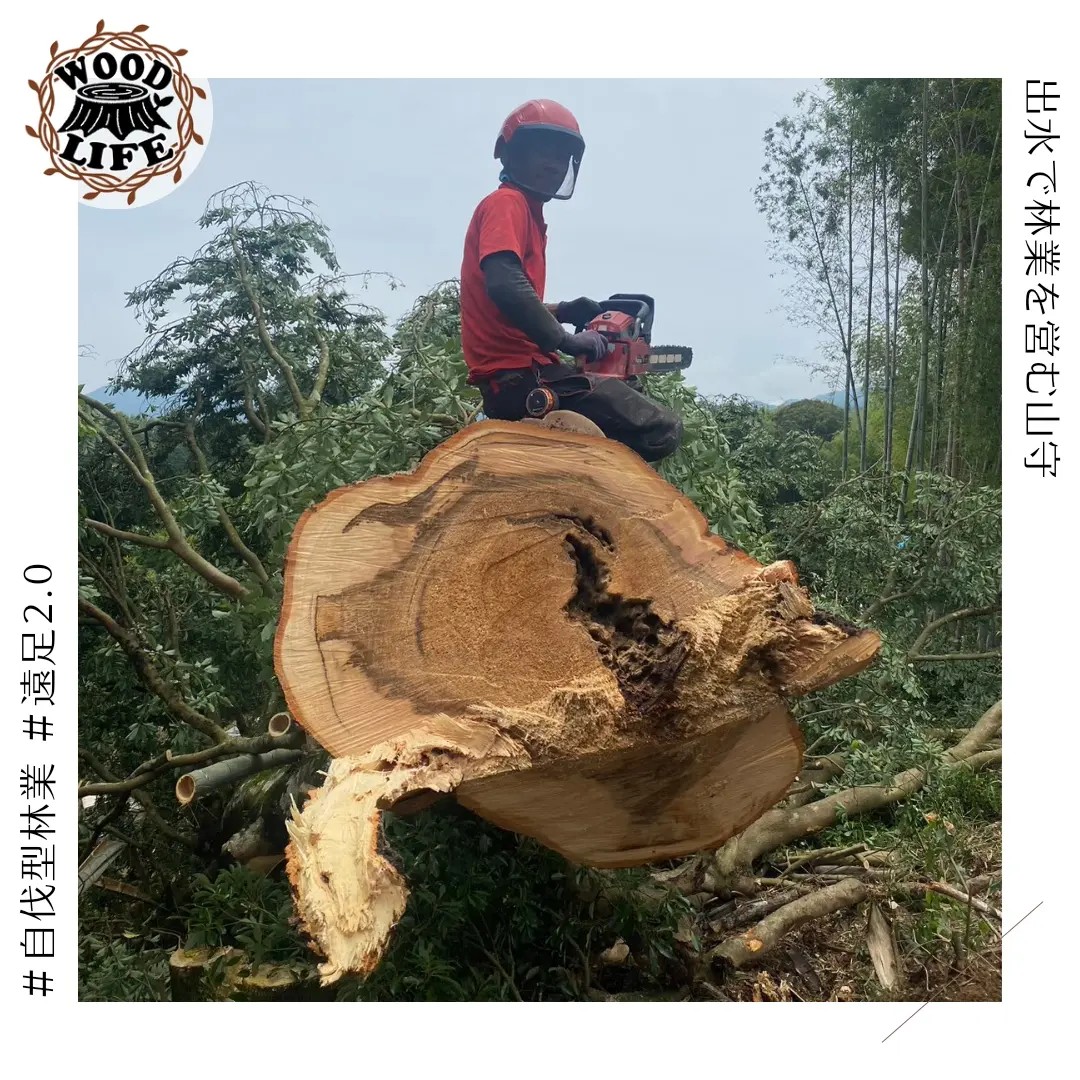 株式会社 WOOD LIFE | Izumi Kagoshima