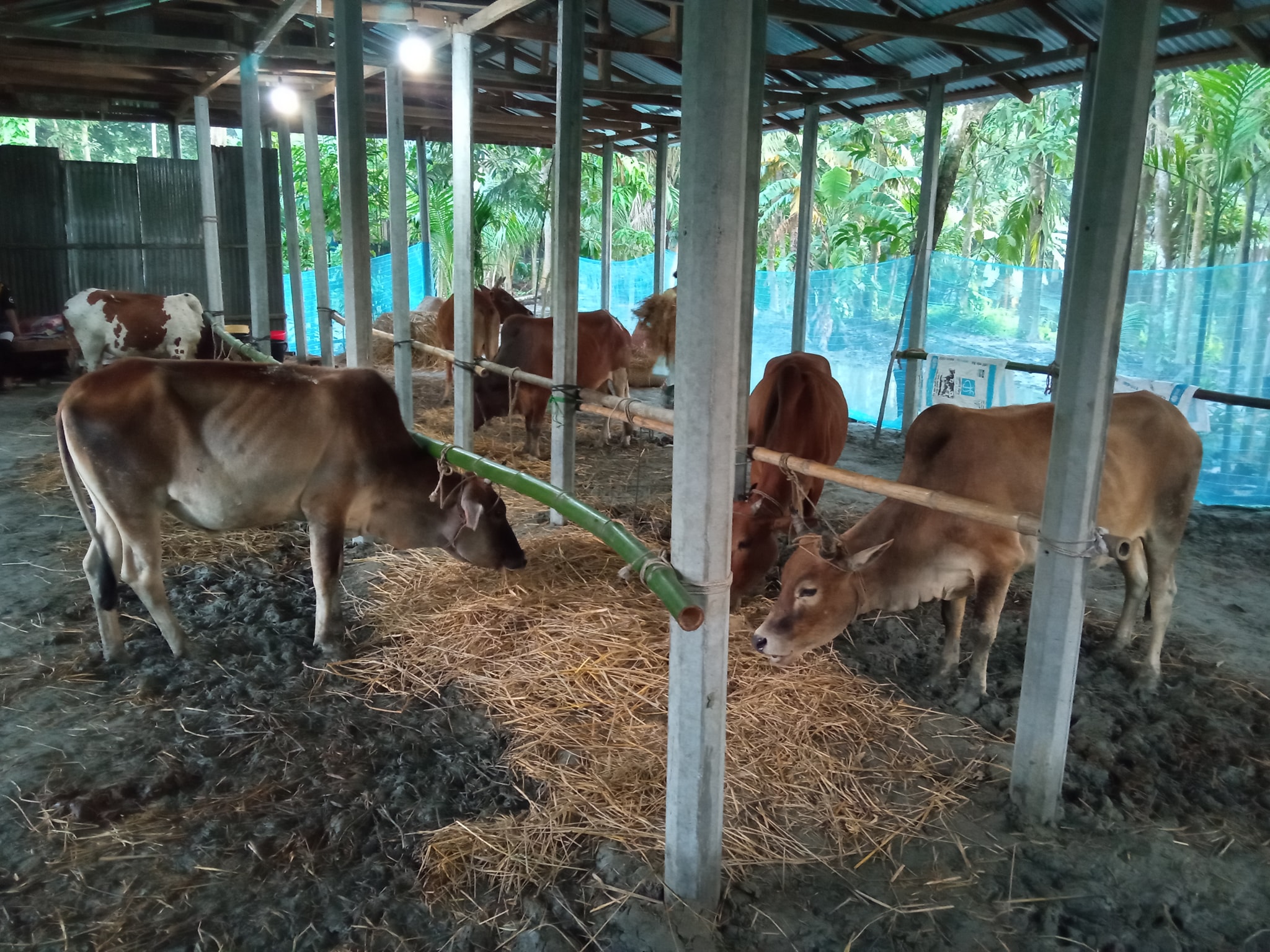 Islam Agro Farm - Home