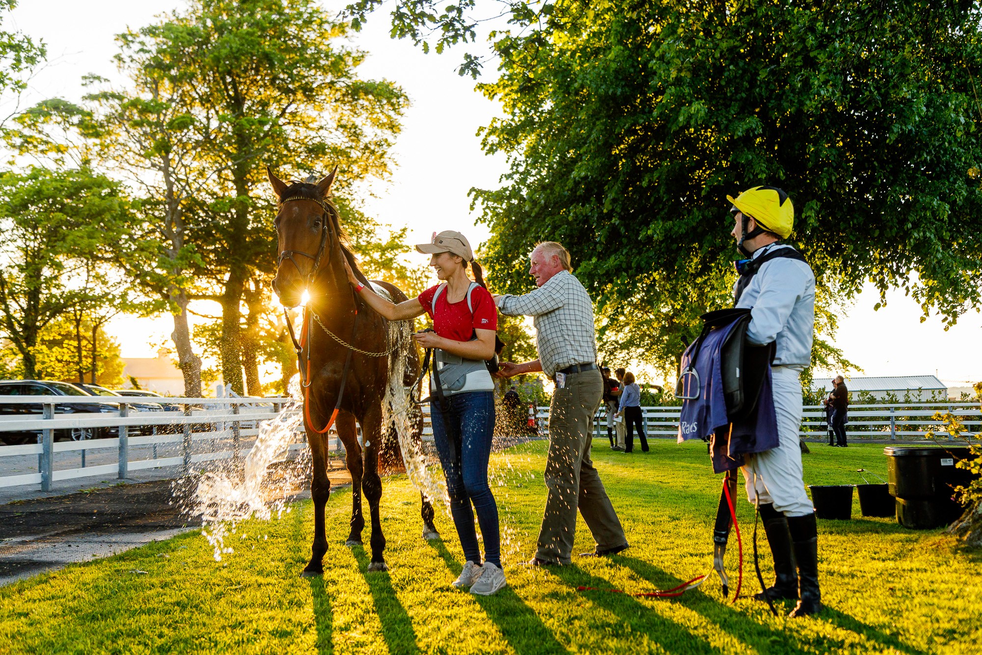 Sligo Races | Sligo