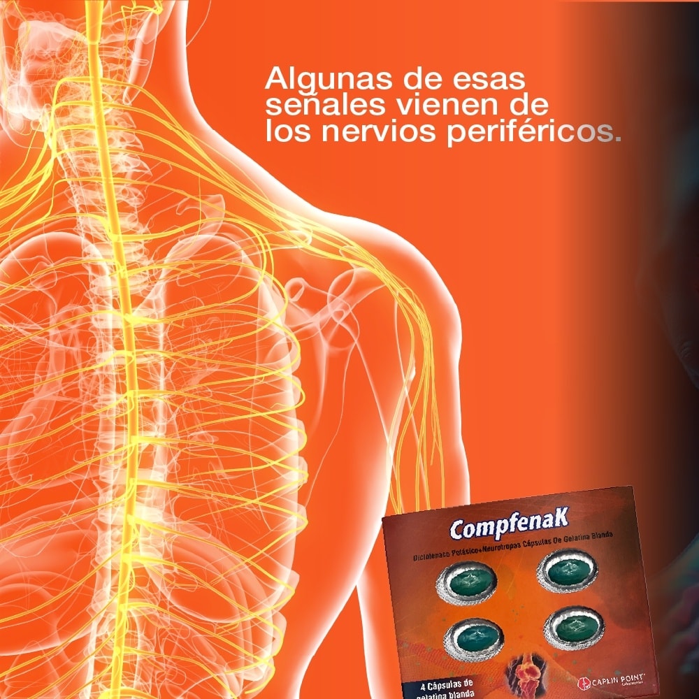 Caplin Point Laboratories Nicaragua | Managua