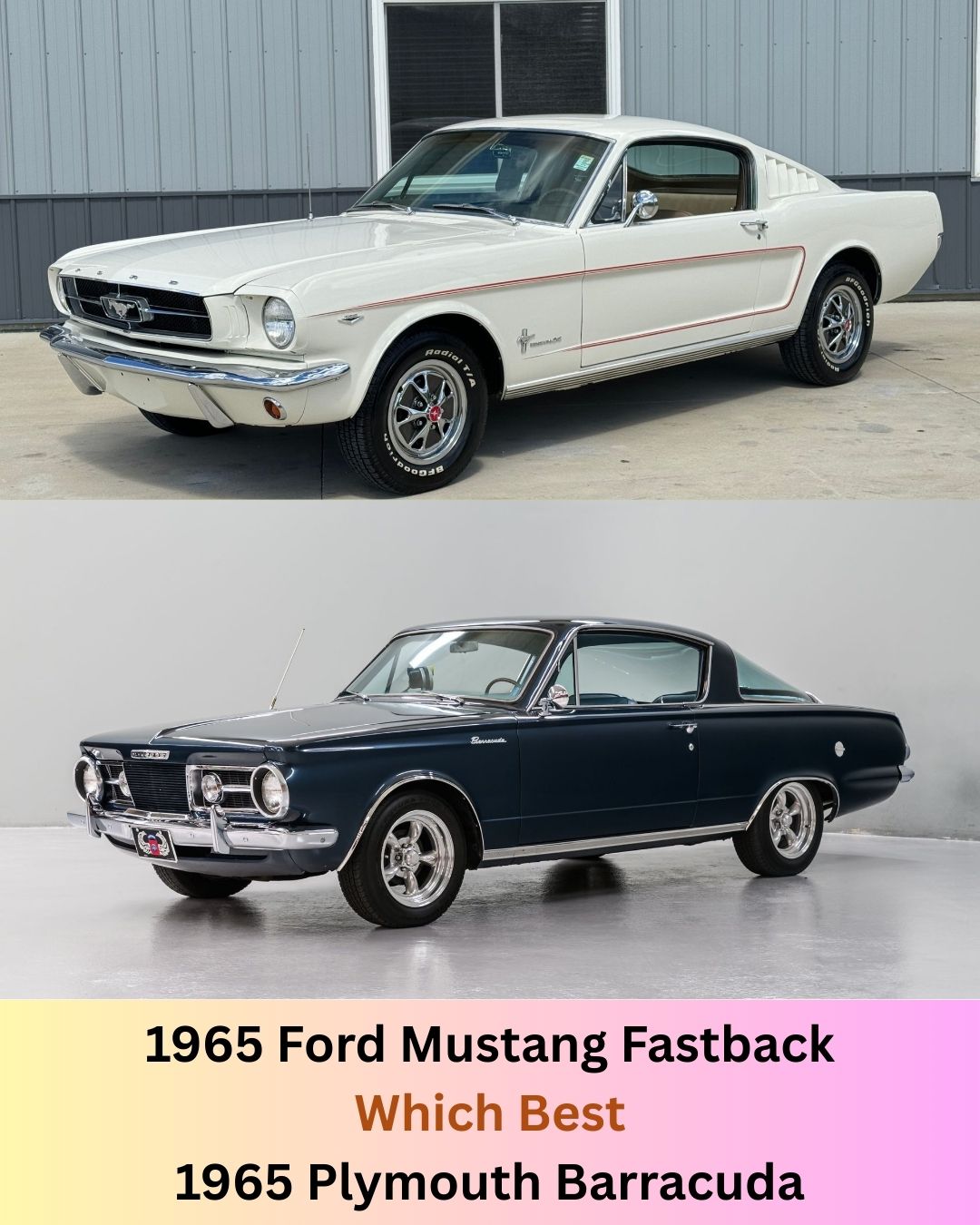 Cinematic - The 1965 Ford Mustang Fastback and the 1965 Plymouth ...