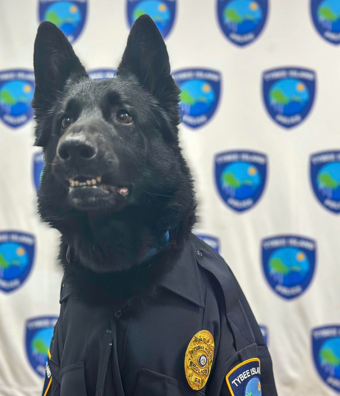 K9 - 😘Today, Rocky officially celebrates FIVE YEARS of service with the ...