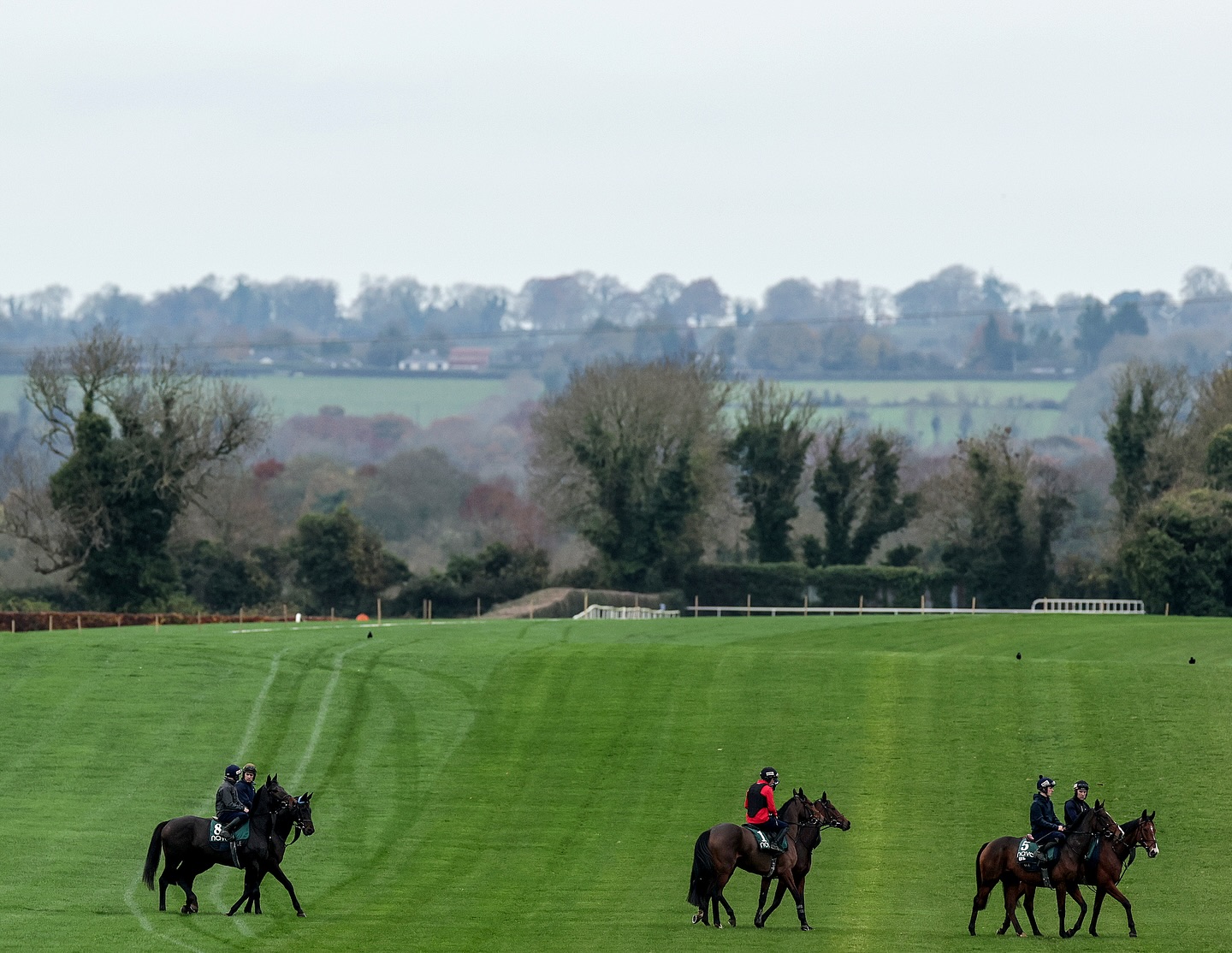 Navan Racecourse | An Uaimh