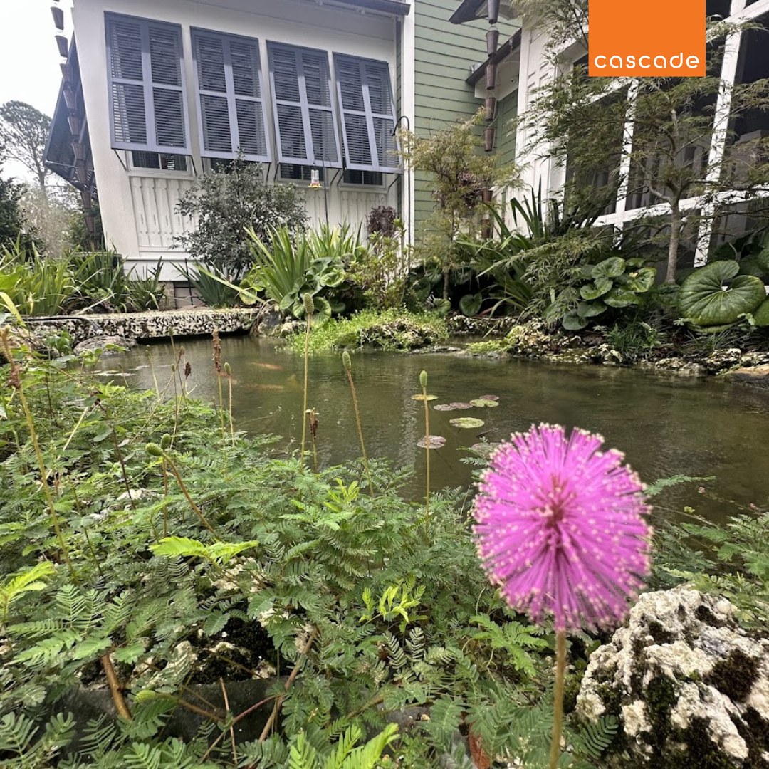 Cascade Outdoor Design | Jacksonville FL