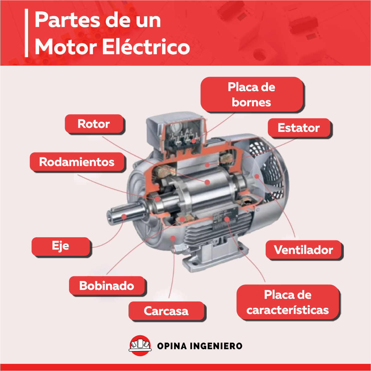 Escuela - 🤔 Un motor eléctrico tiene dos elementos... | Facebook