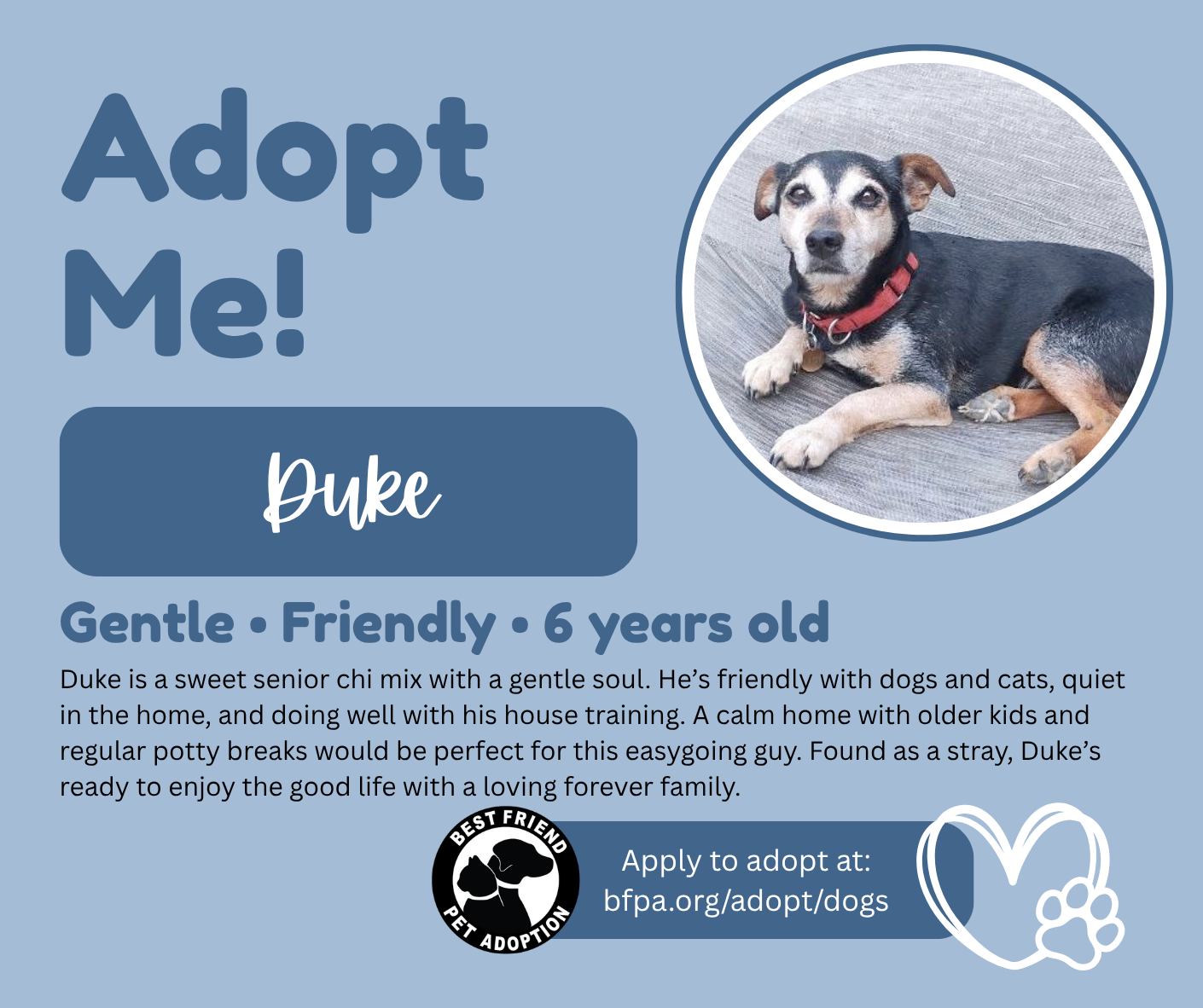 Best Friend Pet Adoption