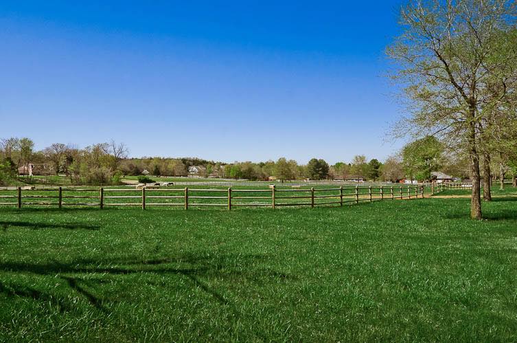 We have 10 of our cattle due to... - Jasper Springs Ranch