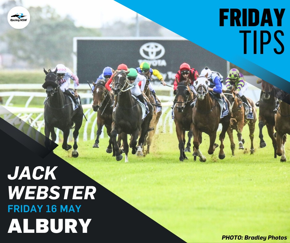 Racing - There's EIGHT races at Albury Racing Club on Friday to be run ...