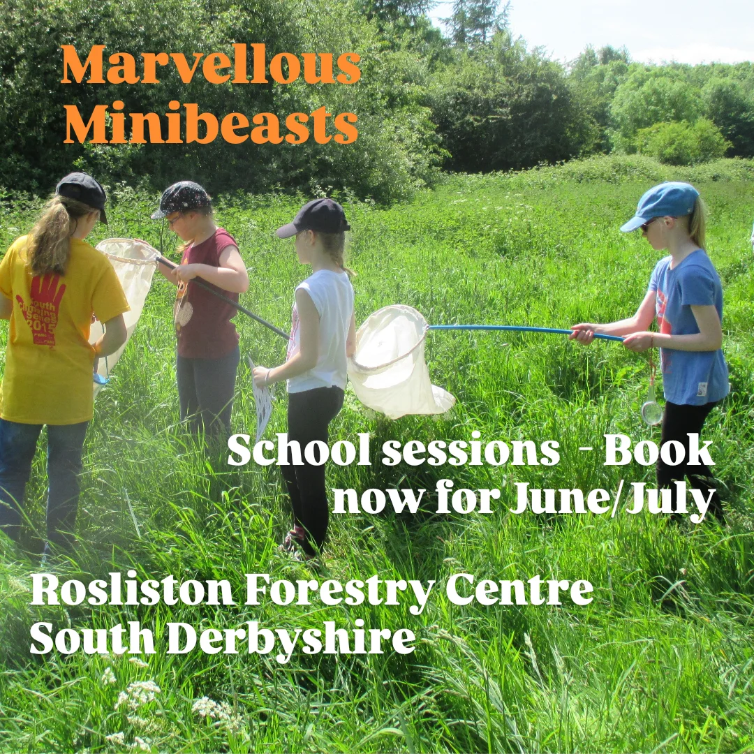 Environmental - Schools in the Midlands make a 'bee' line to the ...