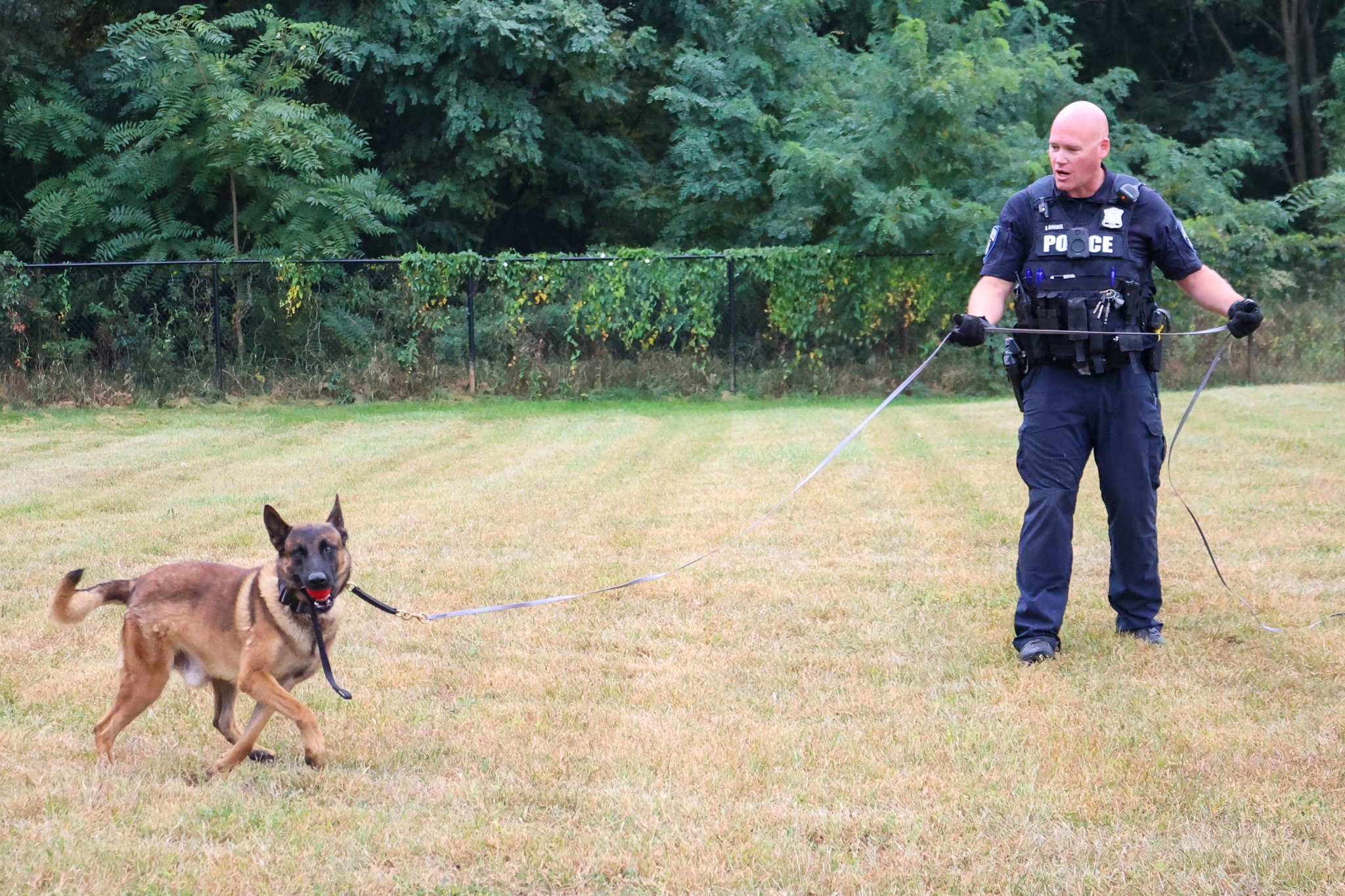 Shelby Township Police... - Shelby Township Police Department