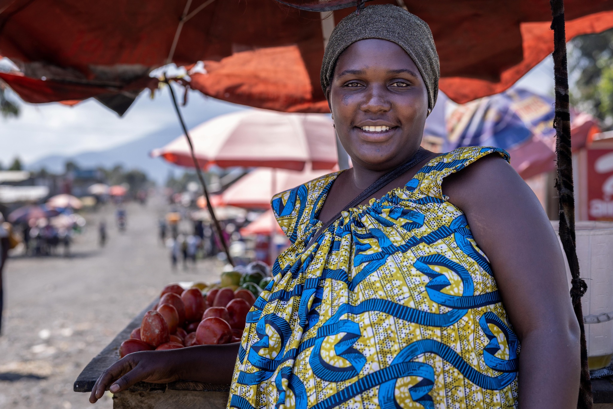 Programme des Nations Unies pour le développement - PNUD