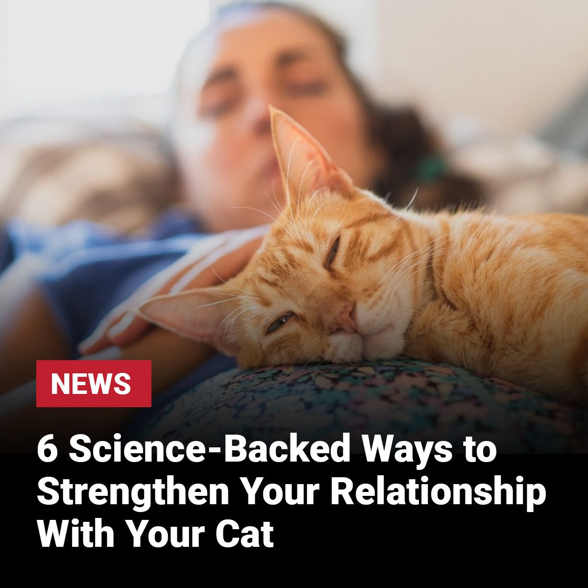 Rare - A 2025 study showed oxytocin levels in both humans and cats rose ...