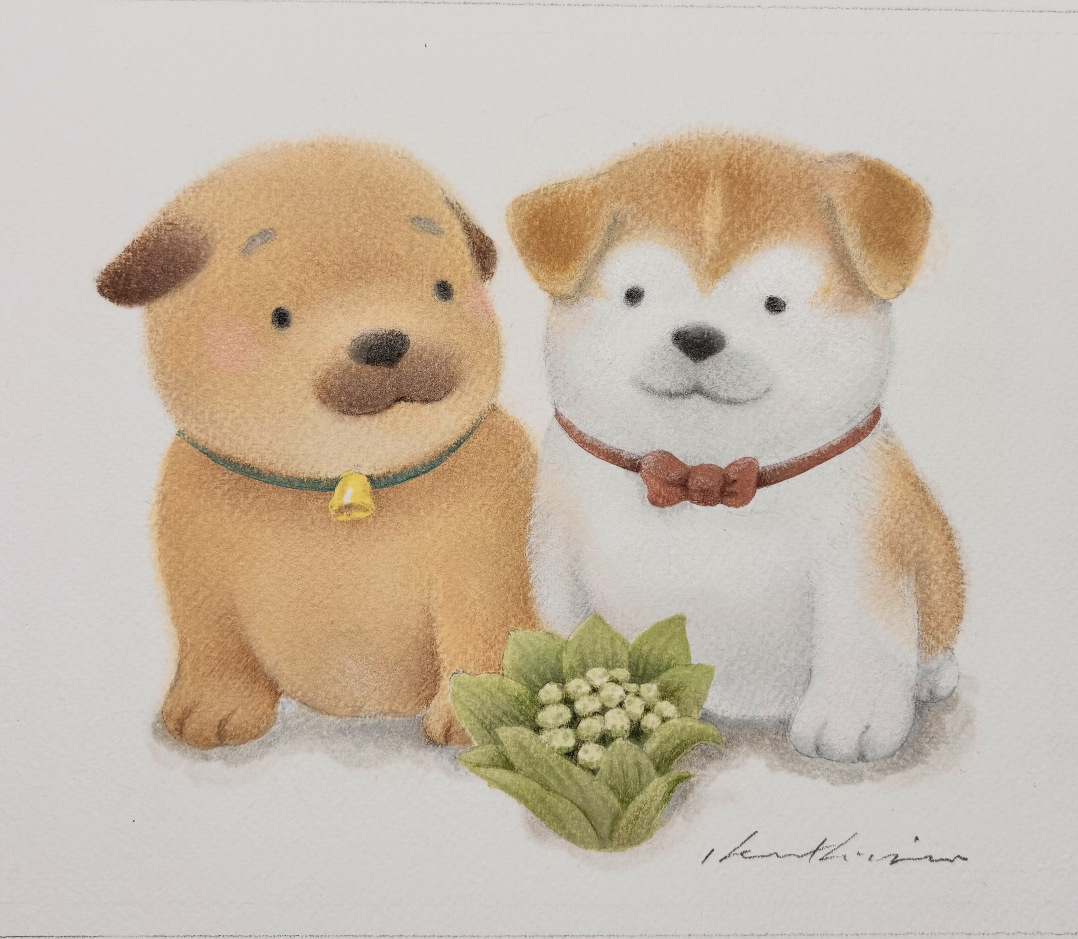 ○黒井健絵本ハウス 春の開館のお知らせ 特集「はるところわん」 絵本