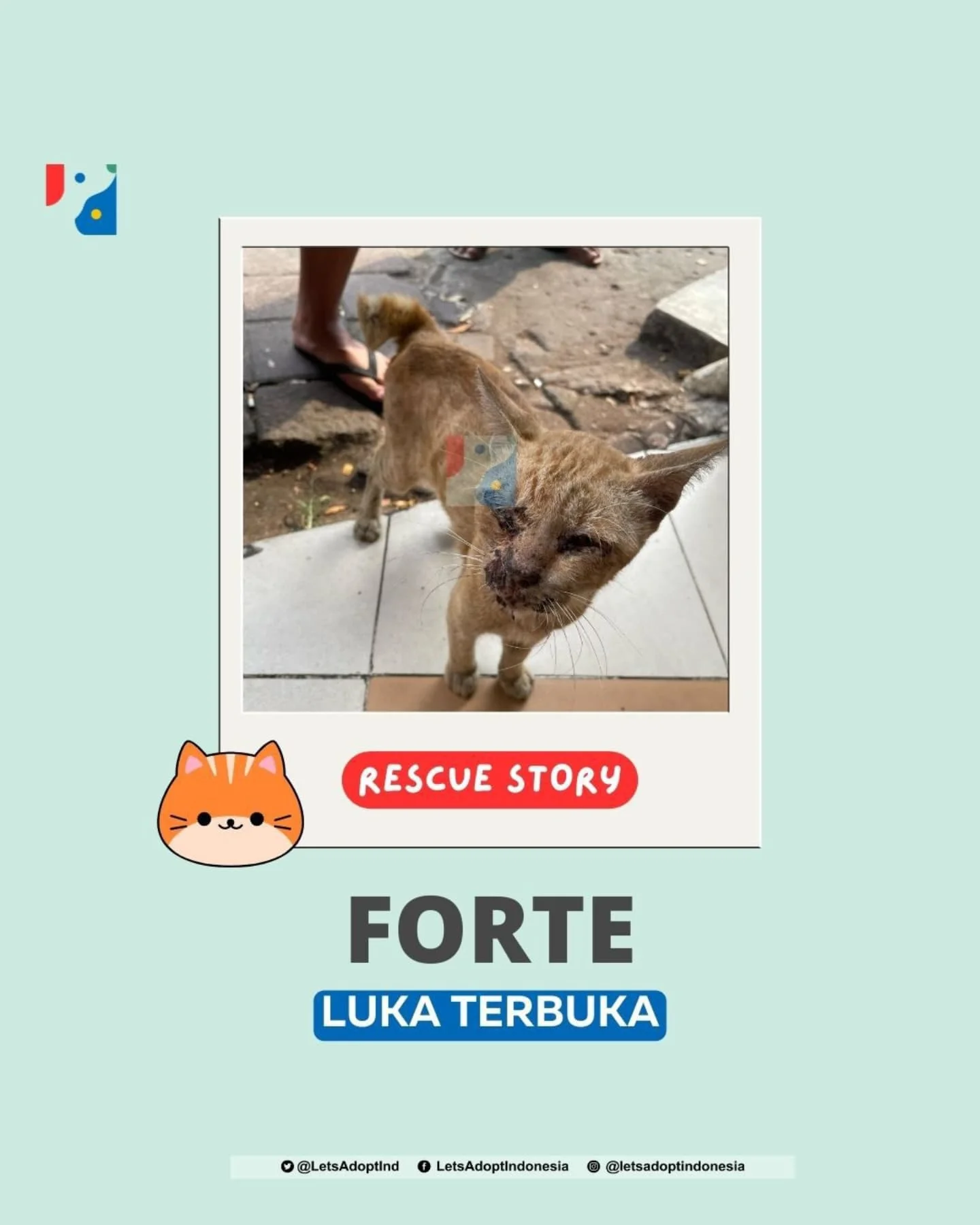 ~ Program Pengobatan Gratis... - Let's Adopt! (Indonesia) | Facebook