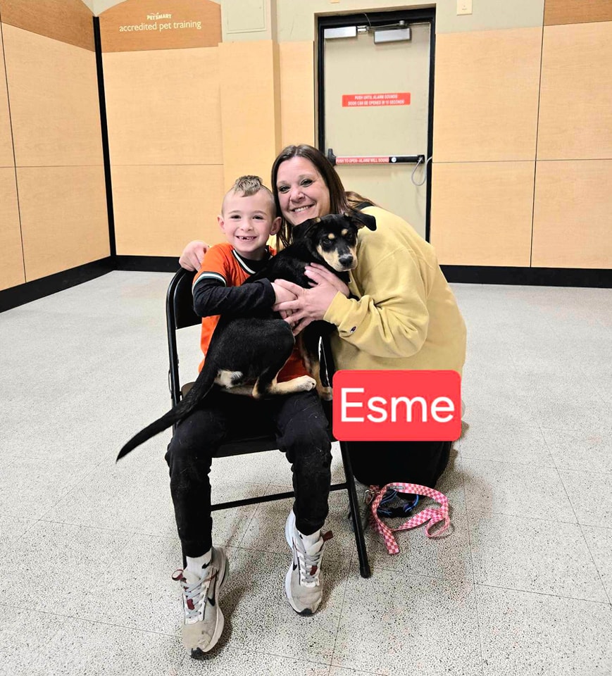 Camp - Another Puerto Rico pup got adopted today. Congratulations Esme ...
