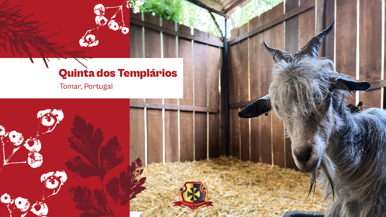 Quinta dos Templários | Tomar