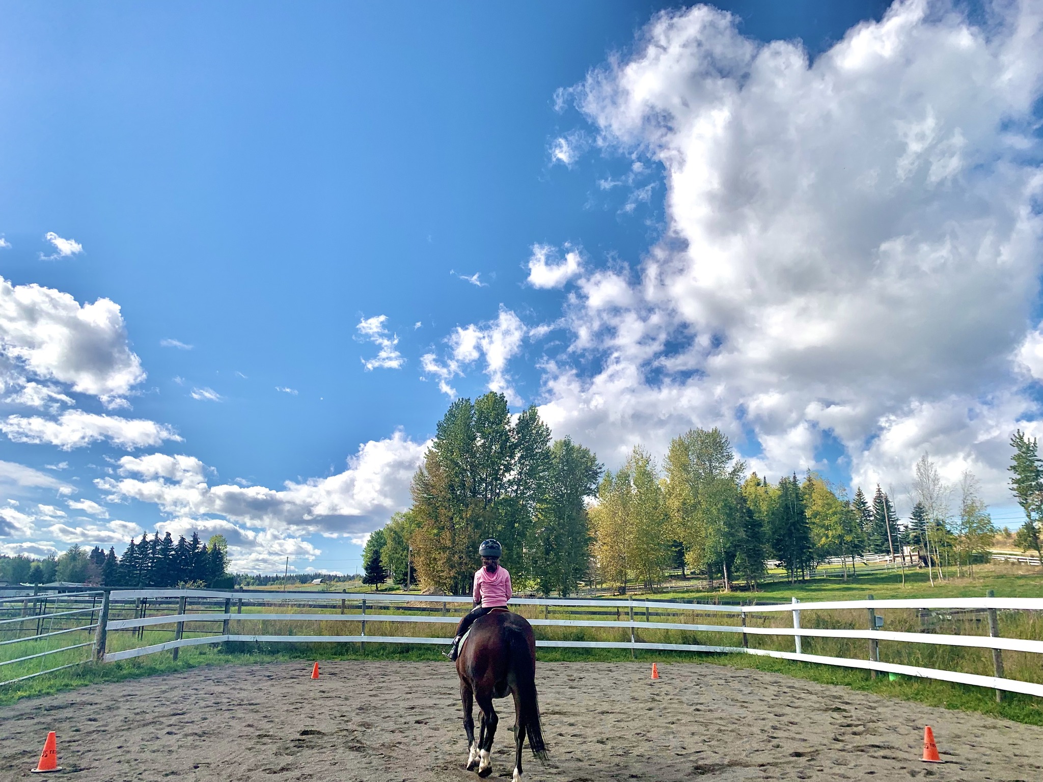 Spruce Ridge Pony Club added a... - Spruce Ridge Pony Club