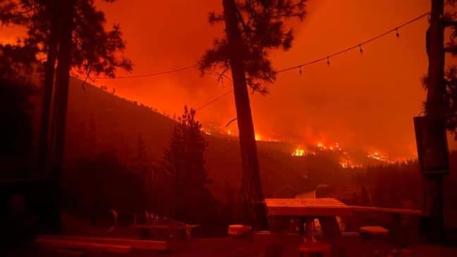 McKinney and Late July Siskiyou Complex Fires