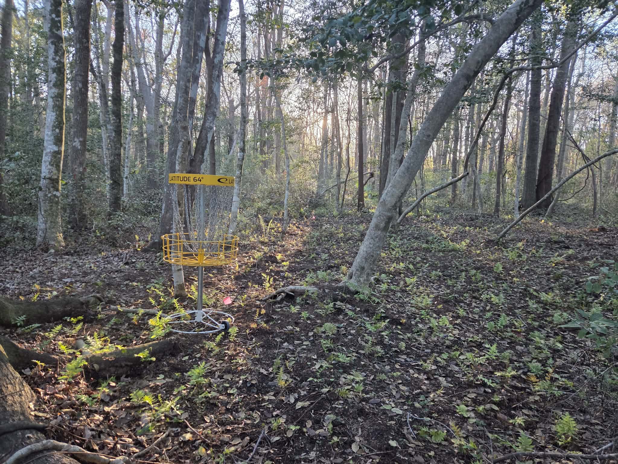 Quad October Disc Golf Monthly- Cash is King CTP Shootout