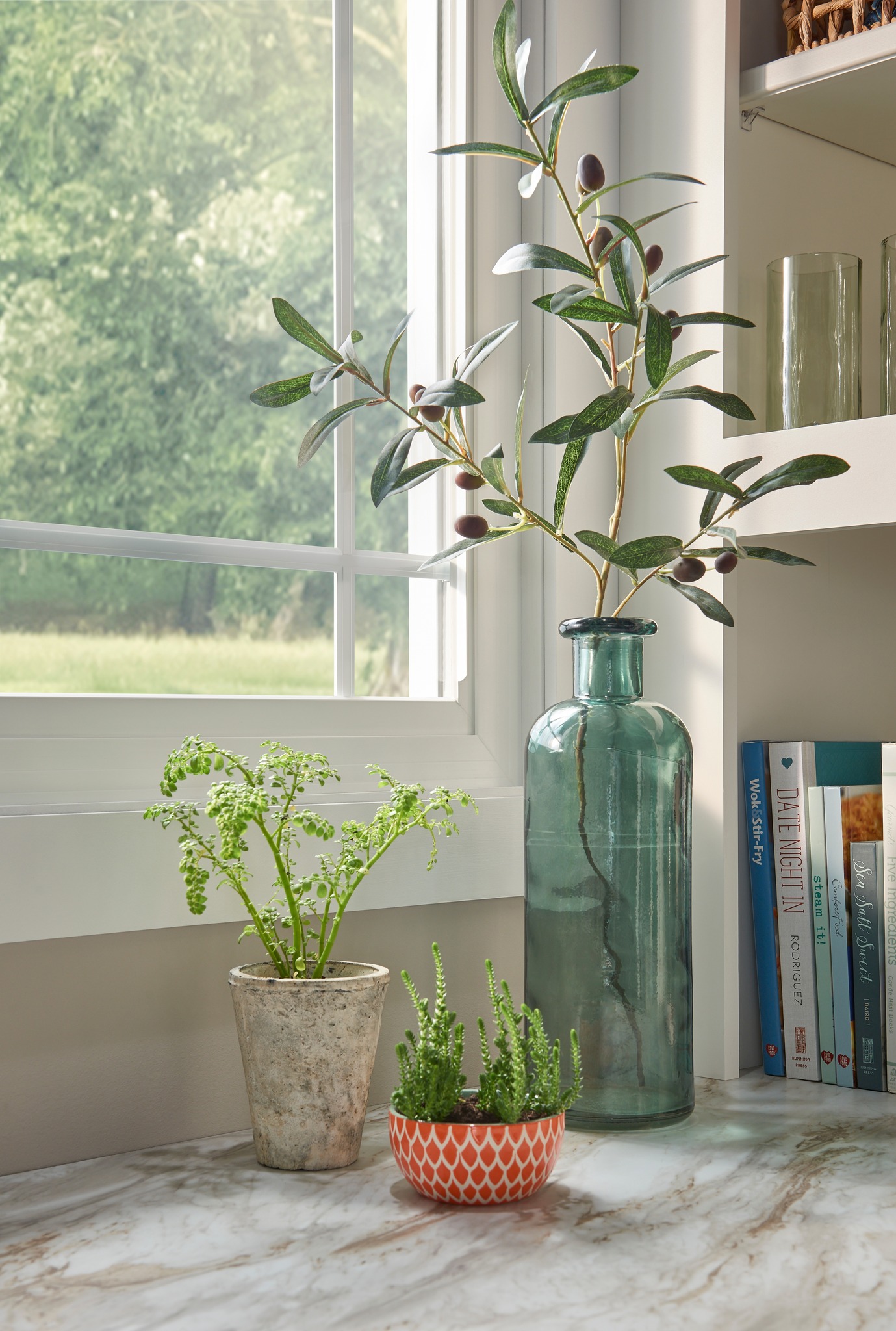 Window - Sunshine, fresh air, and happy plants! ☀️🌿 Clean windows let ...