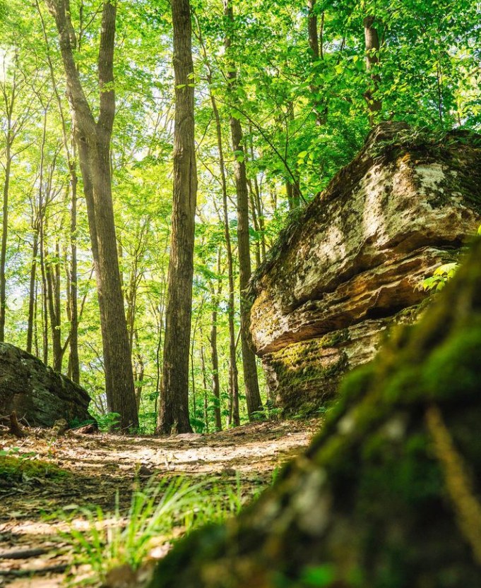 If you need us, we'll be out in... - Trails at Jakes Rocks