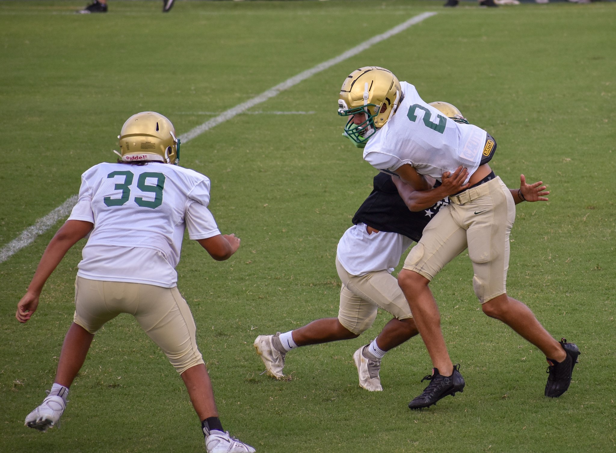 Nina's Sport & Travel Action Photography | Ponte Vedra FL