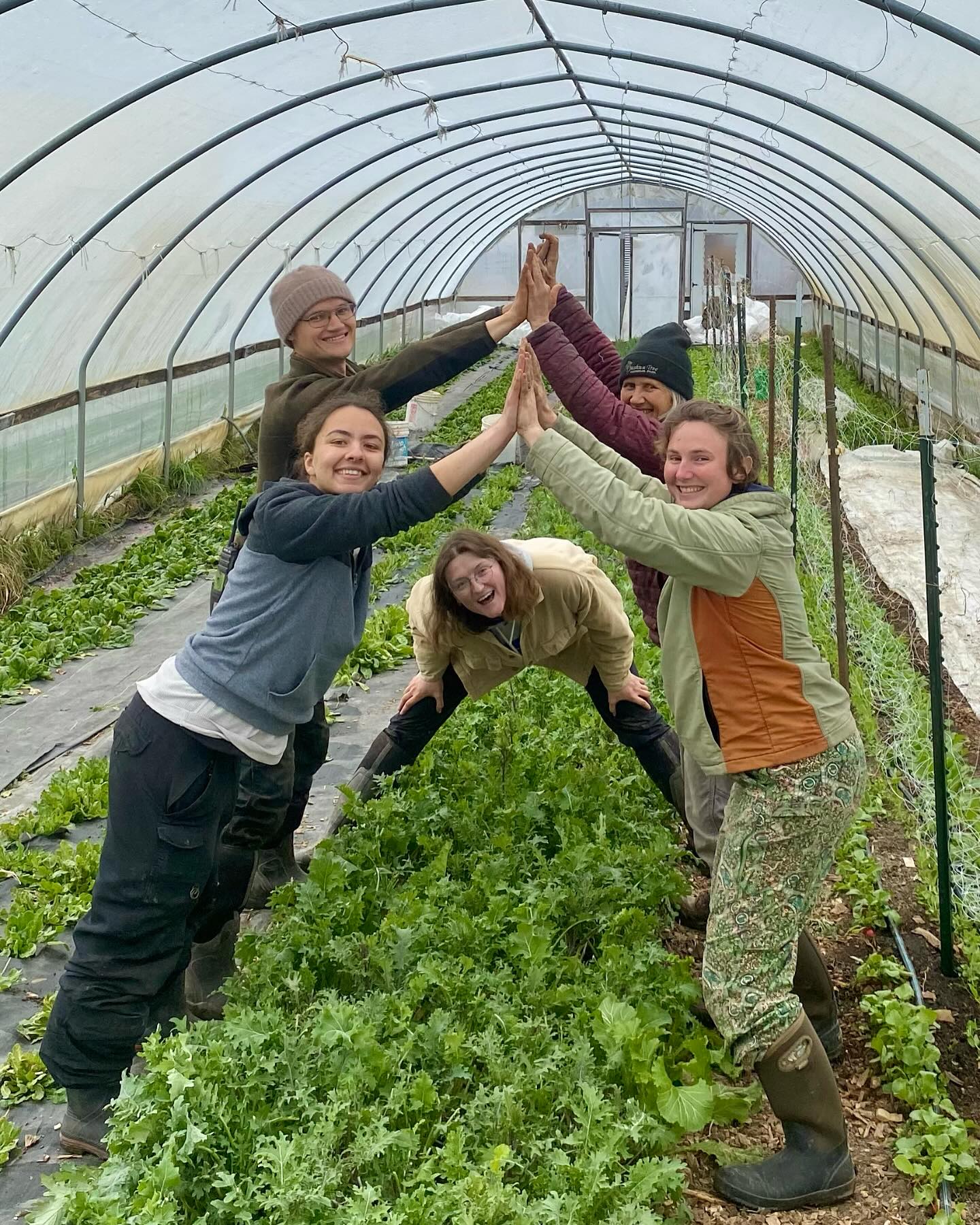Christopher Farm | Modoc IN