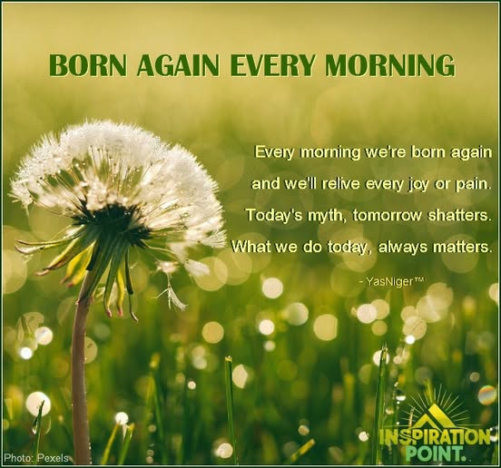 🍂🍁*´¨)* ¸.•*¸.• 🌰 ¨).• 🌾🍂🌾 ¨) ( ¸.•´*(¸.•´*(.¸. •* 🌰 ¸.•* 🍁🍂 # ...