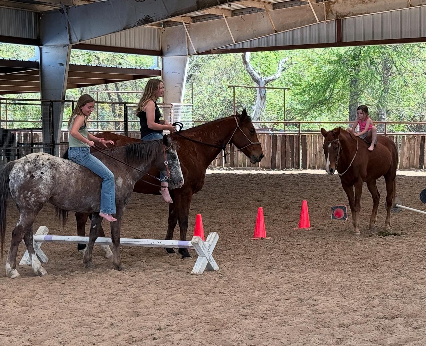 TnT Ranch & Tom Davis Horsemanship