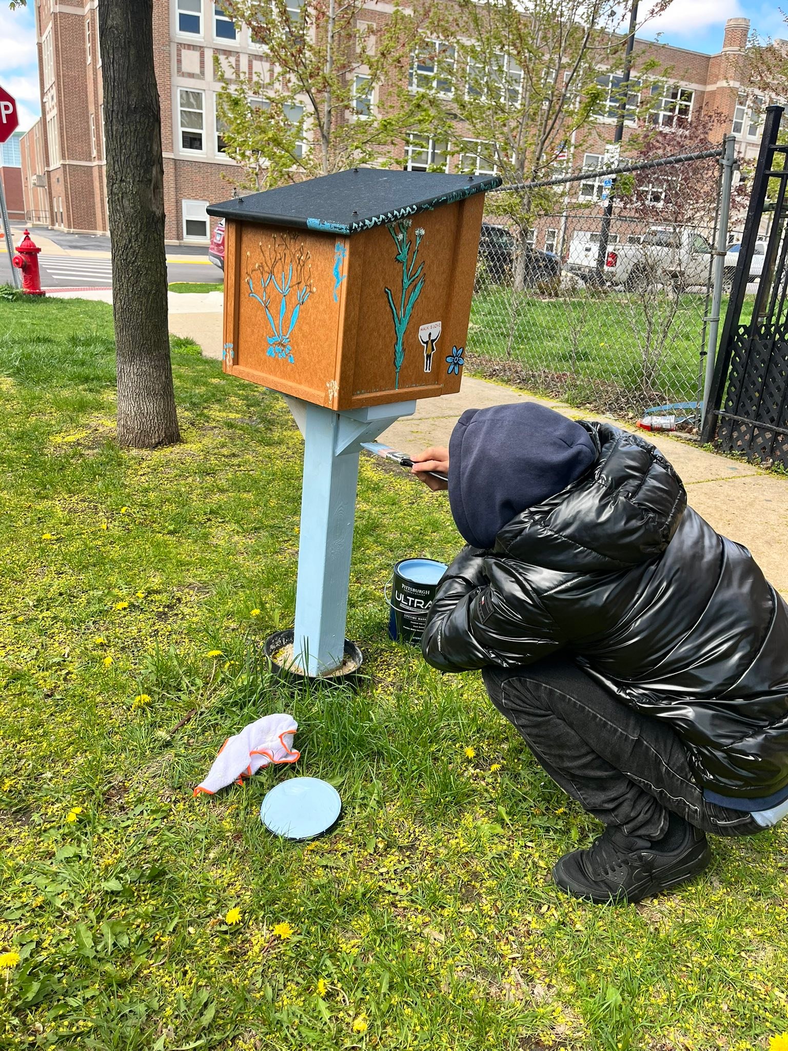 Berwyn Free Library Initiative