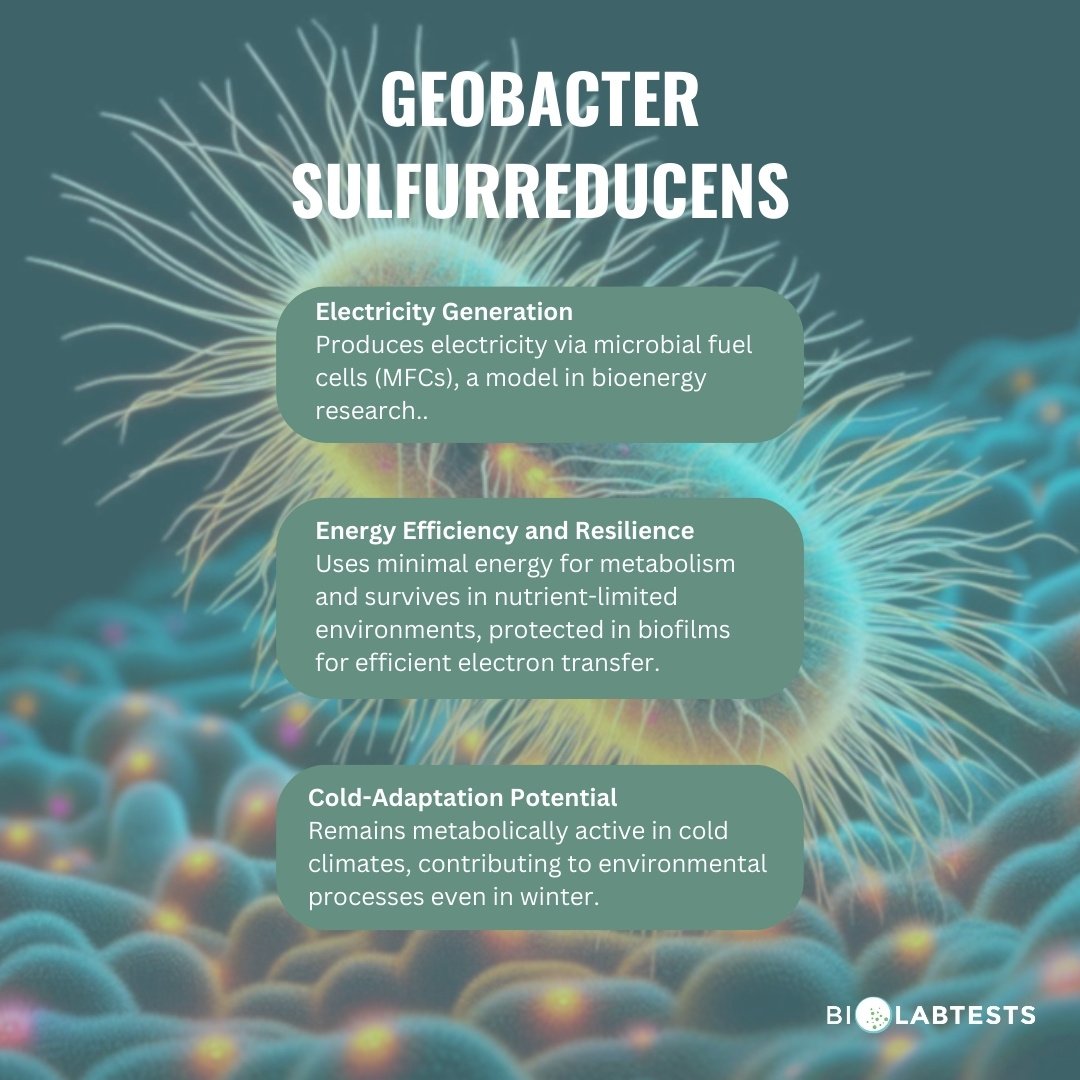 Biolabtests - ⚡ Geobacter sulfurreducens is a bacterium with ...