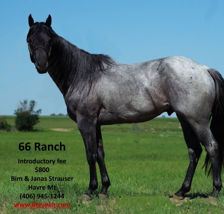 66 Ranch | Havre MT