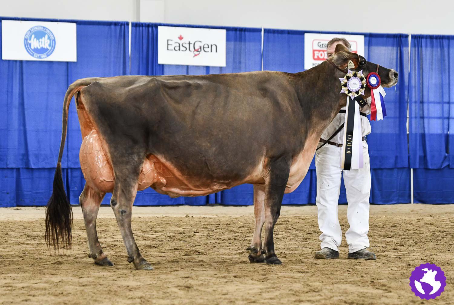 The final event of the day at the... - Cowsmopolitan, Inc. | Facebook