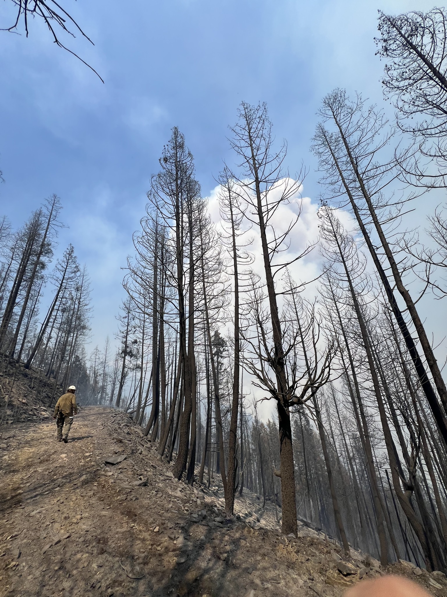 Montana DNRC - 🔥Knowles Fire Update September 2, 2025🔥... | Facebook