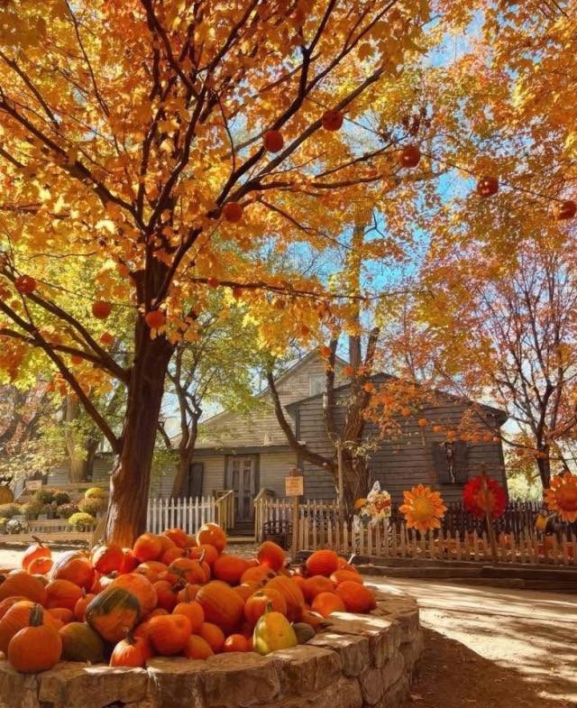 Fall - 32 Days Until Fall/Autumn 💛😍💛 | Facebook